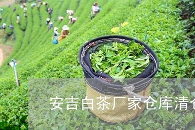 安吉白茶厂家仓库清仓/2023092944937