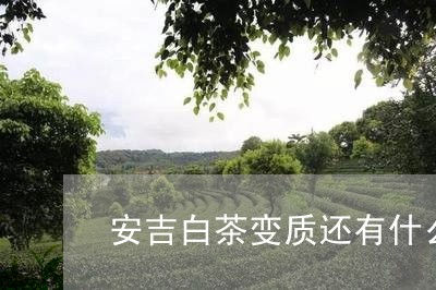 安吉白茶变质还有什么用/2023101713728