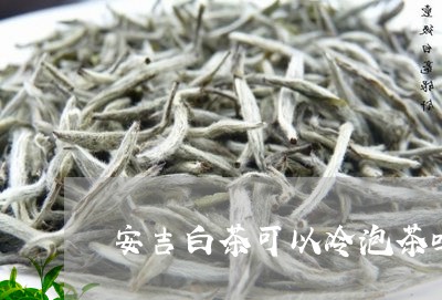 安吉白茶可以冷泡茶吗/2023093012594