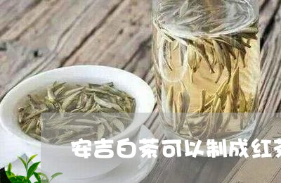 安吉白茶可以制成红茶吗/2023101774036