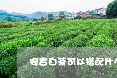 安吉白茶可以搭配什么花茶/2023063007280