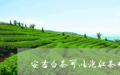 安吉白茶可以泡红茶吗/2023093092705