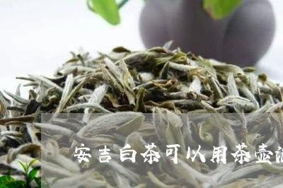 安吉白茶可以用茶壶泡嘛/2023101706250