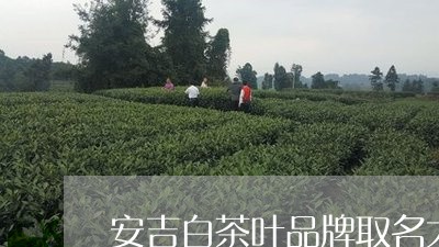 安吉白茶叶品牌取名大全/2023101719493