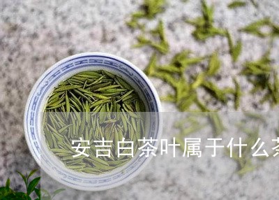 安吉白茶叶属于什么茶类/2023101762724