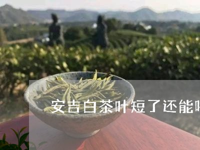 安吉白茶叶短了还能喝吗/2023101715038