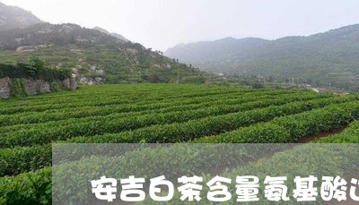 安吉白茶含量氨基酸达/2023093018148