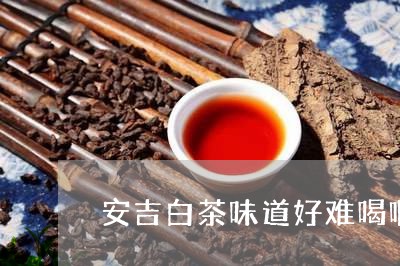 安吉白茶味道好难喝啊/2023093040592