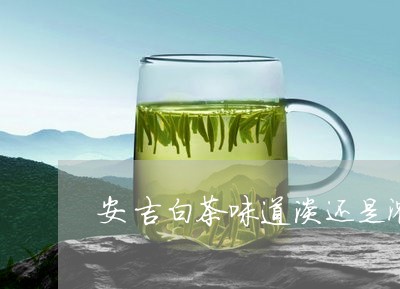 安吉白茶味道淡还是浓/2023093043826