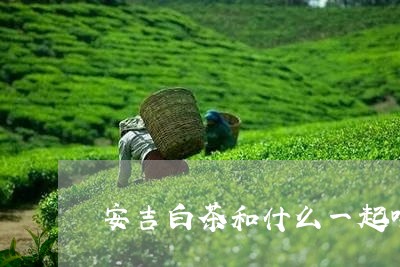 安吉白茶和什么一起喝好/2023101721823