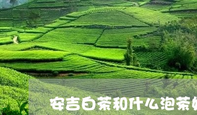 安吉白茶和什么泡茶好/2023093028501