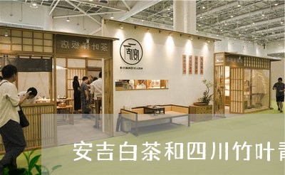 安吉白茶和四川竹叶青/2023093055148