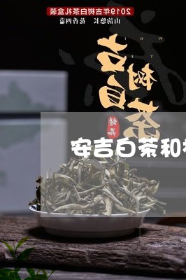 安吉白茶和松阳白茶口感/2023101727583