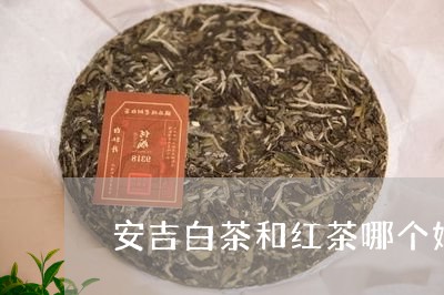 安吉白茶和红茶哪个好喝/2023101791937