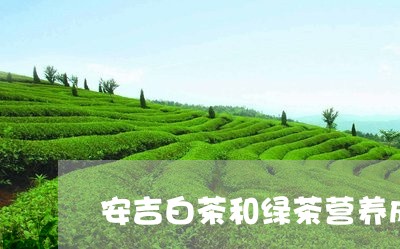 安吉白茶和绿茶营养成分/2023101768692