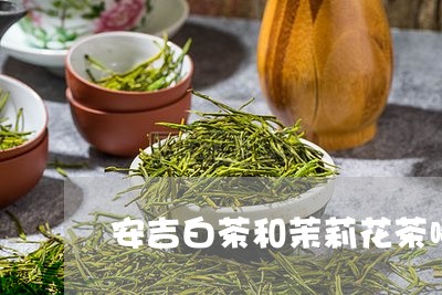 安吉白茶和茉莉花茶哪种口味好/2023111436059