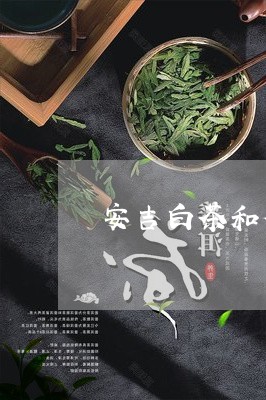 安吉白茶和荷花一起泡/2023062923839