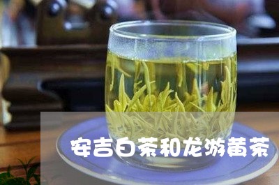 安吉白茶和龙游黄茶/2023062927592