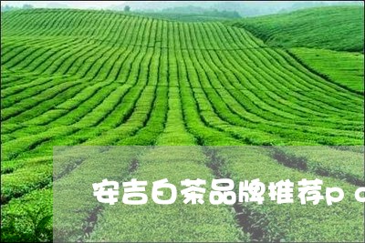 安吉白茶品牌推荐pdd/2023101746058