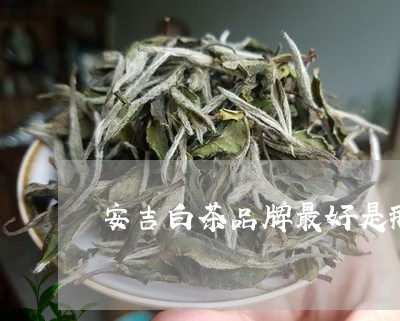 安吉白茶品牌最好是那家/2023101774015