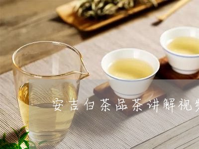 安吉白茶品茶讲解视频/2023093074248