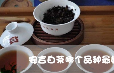 安吉白茶哪个品种最好/2023093074614