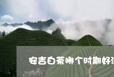 安吉白茶哪个时期好泡呢/2023101740494