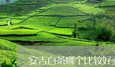 安吉白茶哪个比较好卖啊/2023101772916