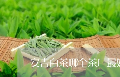 安吉白茶哪个茶厂最好/2023093053814