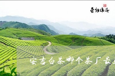 安吉白茶哪个茶厂最正宗/2023101738482