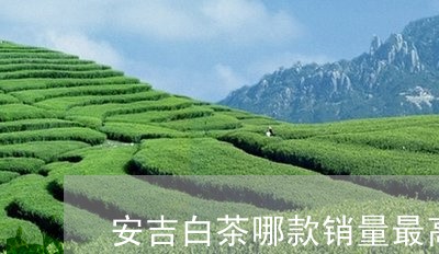 安吉白茶哪款销量最高/2023093003368