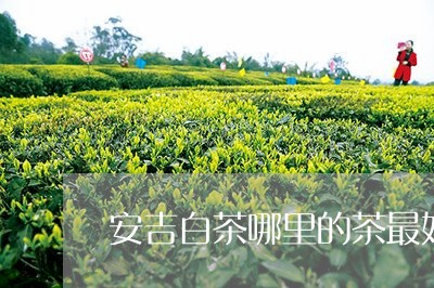 安吉白茶哪里的茶最好/2023093088371