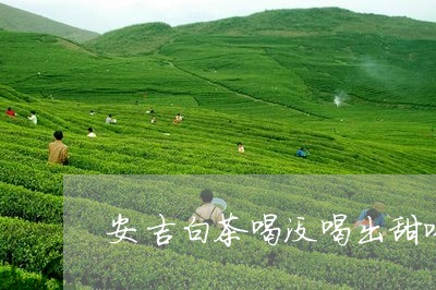 安吉白茶喝没喝出甜味/2023093091916