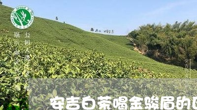 安吉白茶喝金骏眉的区别/2023101658572