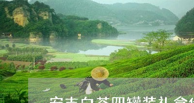 安吉白茶四罐装礼盒价格/2023101637140