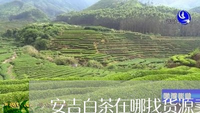 安吉白茶在哪找货源卖呀/2023102462606