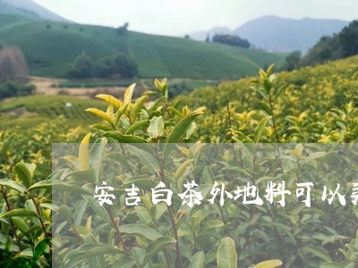 安吉白茶外地料可以买吗/2023102407373