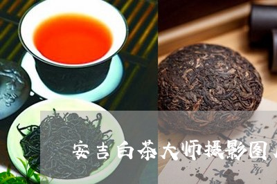 安吉白茶大师摄影图片/2023093067273