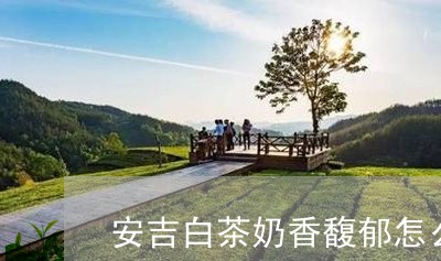 安吉白茶奶香馥郁怎么样/2023102403725