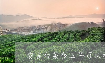 安吉白茶存五年可以喝/2023092916047