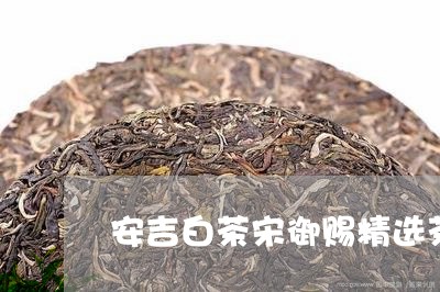 安吉白茶宋御赐精选茶/2023092996248