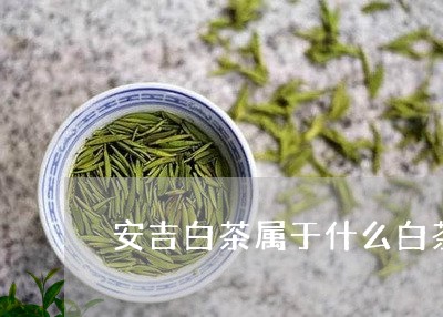 安吉白茶属于什么白茶/2023092907151