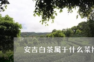 安吉白茶属于什么菜推荐/2023101730725