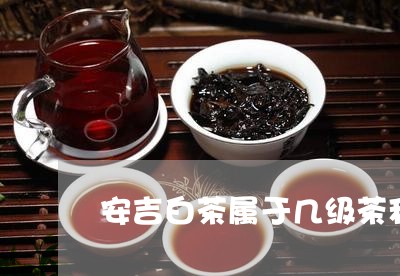 安吉白茶属于几级茶种类/2023101750473