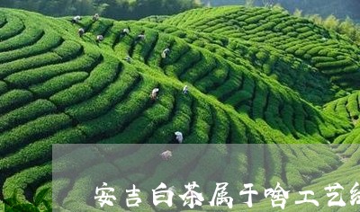 安吉白茶属于啥工艺绿茶/2023101749404