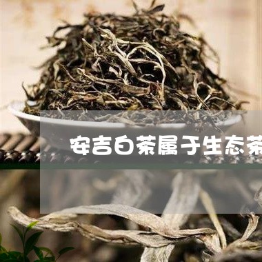 安吉白茶属于生态茶吗/2023092972936