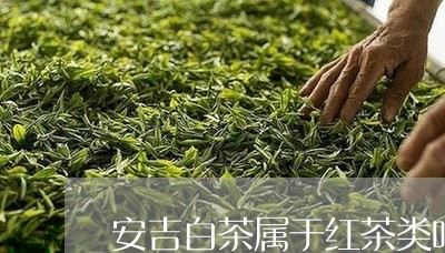 安吉白茶属于红茶类吗/2023092932605