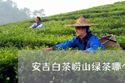 安吉白茶崂山绿茶哪个好/2023101776260