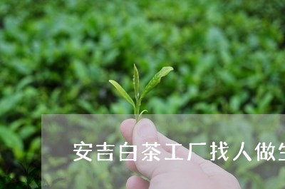 安吉白茶工厂找人做生意/2023101733814