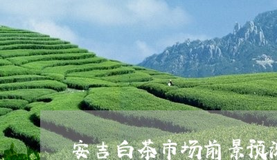 安吉白茶市场前景预测/2023092972514